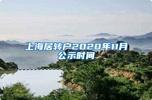 上海居转户2020年11月公示时间