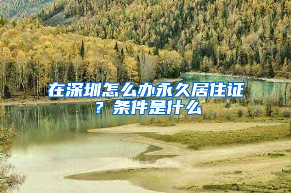 在深圳怎么办永久居住证？条件是什么