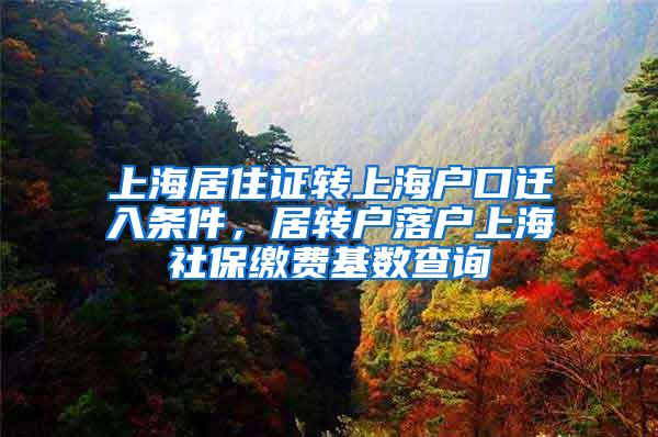 上海居住证转上海户口迁入条件，居转户落户上海社保缴费基数查询