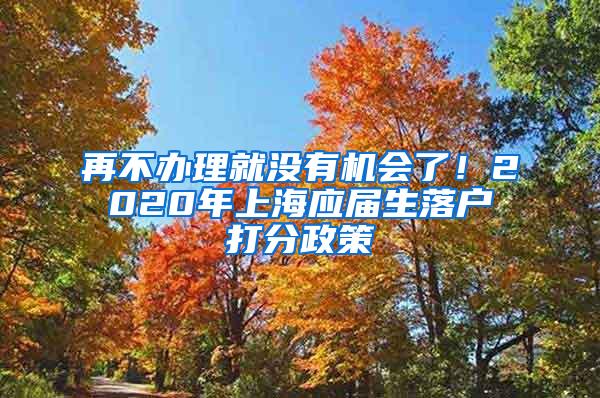 再不办理就没有机会了！2020年上海应届生落户打分政策