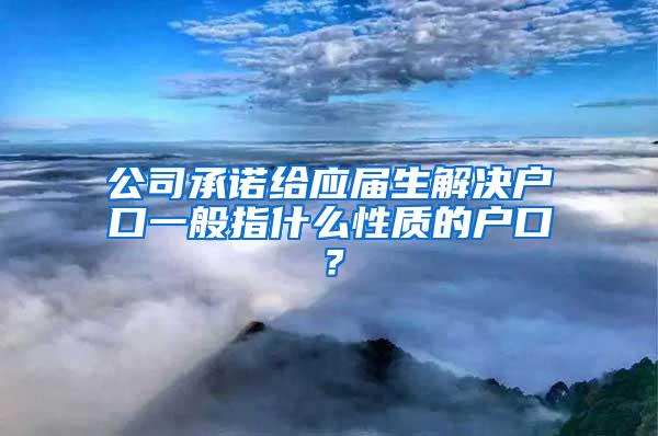 公司承诺给应届生解决户口一般指什么性质的户口？