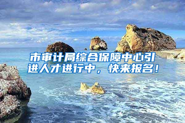 市审计局综合保障中心引进人才进行中，快来报名！