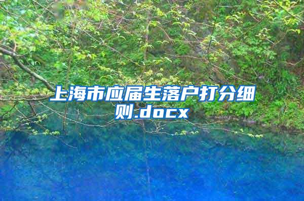 上海市应届生落户打分细则.docx