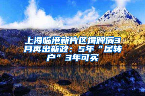 上海临港新片区揭牌满3月再出新政：5年“居转户”3年可买