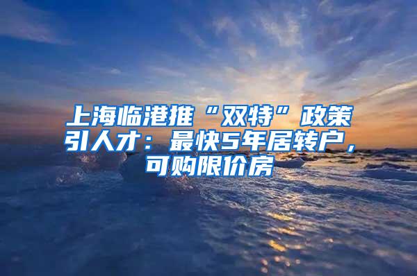 上海临港推“双特”政策引人才：最快5年居转户，可购限价房