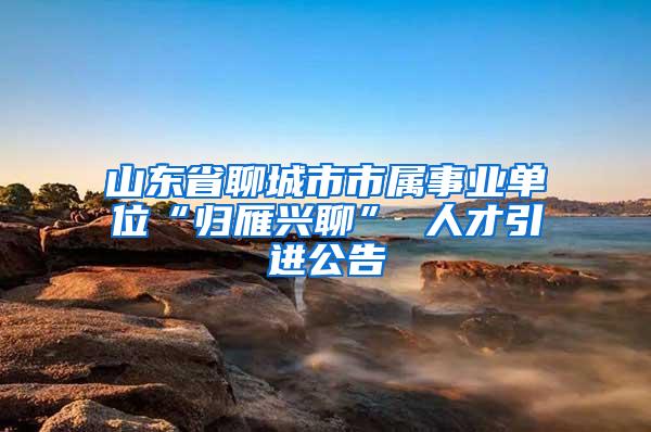 山东省聊城市市属事业单位“归雁兴聊” 人才引进公告