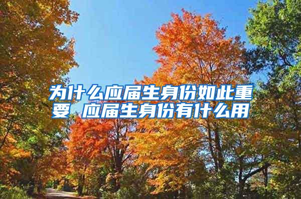 为什么应届生身份如此重要 应届生身份有什么用