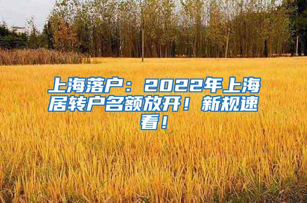 上海落户：2022年上海居转户名额放开！新规速看！