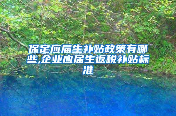 保定应届生补贴政策有哪些,企业应届生返税补贴标准