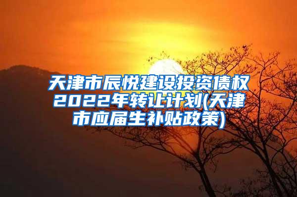 天津市辰悦建设投资债权2022年转让计划(天津市应届生补贴政策)