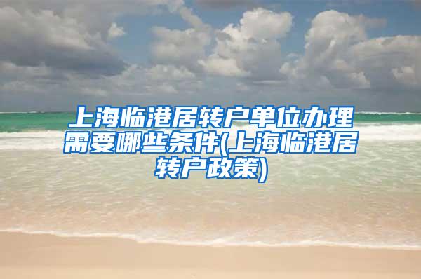 上海临港居转户单位办理需要哪些条件(上海临港居转户政策)