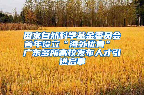 国家自然科学基金委员会首年设立“海外优青” 广东多所高校发布人才引进启事