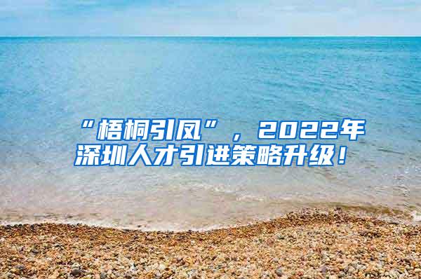 “梧桐引凤”，2022年深圳人才引进策略升级！