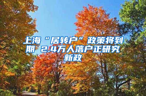 上海“居转户”政策将到期 2.4万人落户正研究新政