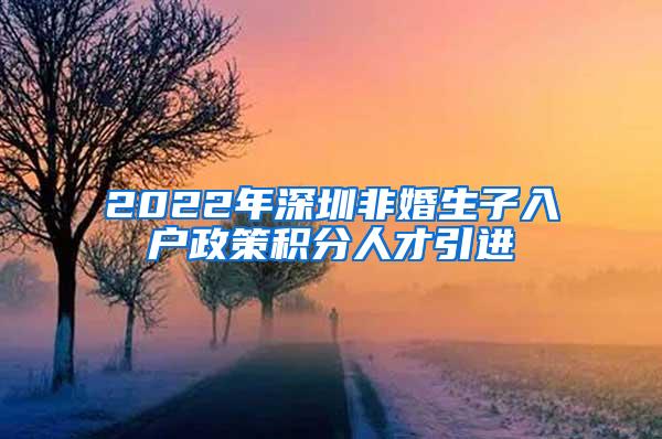 2022年深圳非婚生子入户政策积分人才引进