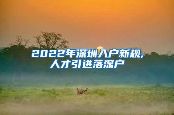 2022年深圳入户新规,人才引进落深户