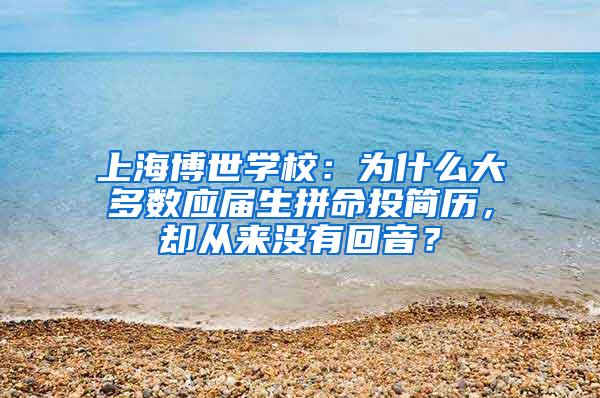 上海博世学校：为什么大多数应届生拼命投简历，却从来没有回音？