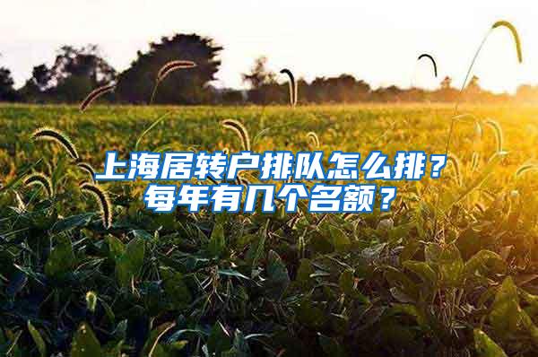 上海居转户排队怎么排？每年有几个名额？