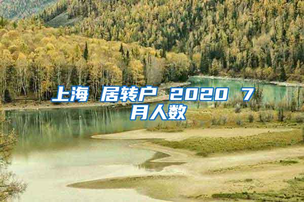 上海 居转户 2020 7 月人数