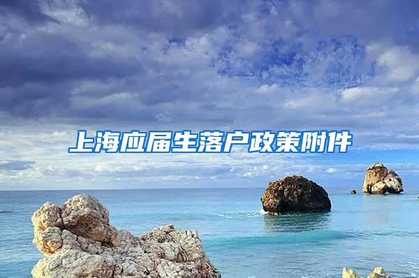 上海应届生落户政策附件