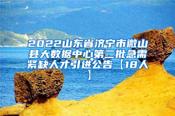 2022山东省济宁市微山县大数据中心第二批急需紧缺人才引进公告【18人】