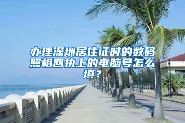 办理深圳居住证时的数码照相回执上的电脑号怎么填？