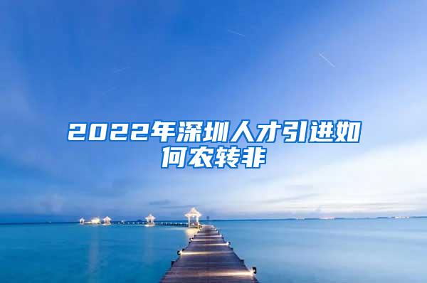 2022年深圳人才引进如何农转非