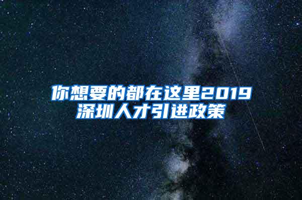 你想要的都在这里2019深圳人才引进政策