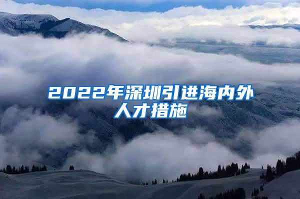 2022年深圳引进海内外人才措施