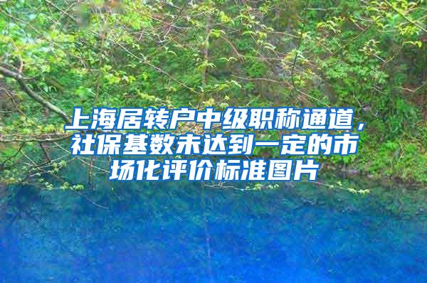 上海居转户中级职称通道，社保基数未达到一定的市场化评价标准图片