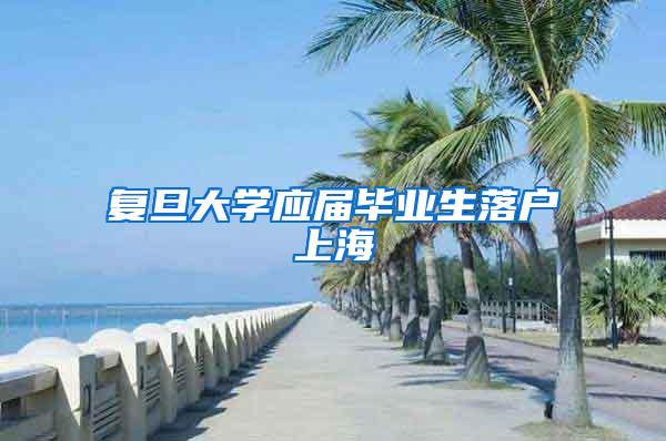 复旦大学应届毕业生落户上海