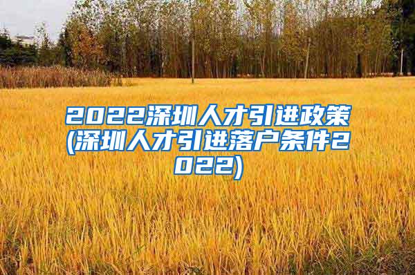 2022深圳人才引进政策(深圳人才引进落户条件2022)