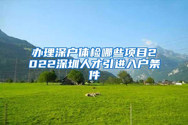 办理深户体检哪些项目2022深圳人才引进入户条件