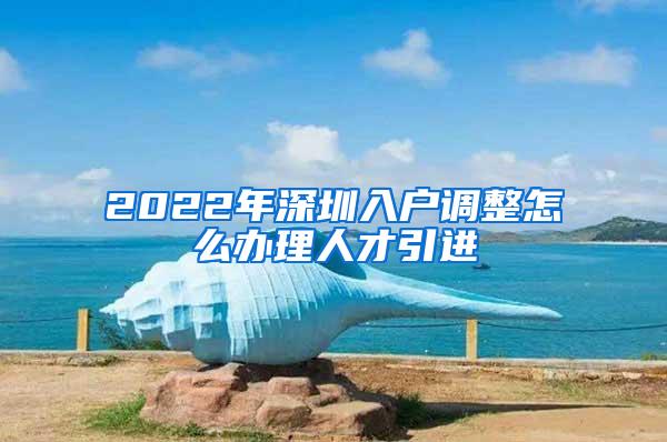 2022年深圳入户调整怎么办理人才引进