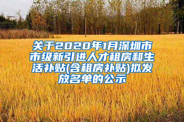 关于2020年1月深圳市市级新引进人才租房和生活补贴(含租房补贴)拟发放名单的公示