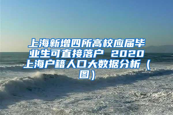 上海新增四所高校应届毕业生可直接落户 2020上海户籍人口大数据分析（图）