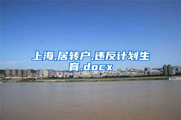 上海,居转户,违反计划生育.docx