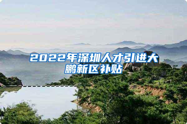 2022年深圳人才引进大鹏新区补贴