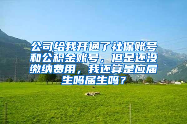 公司给我开通了社保账号和公积金账号，但是还没缴纳费用，我还算是应届生吗届生吗？