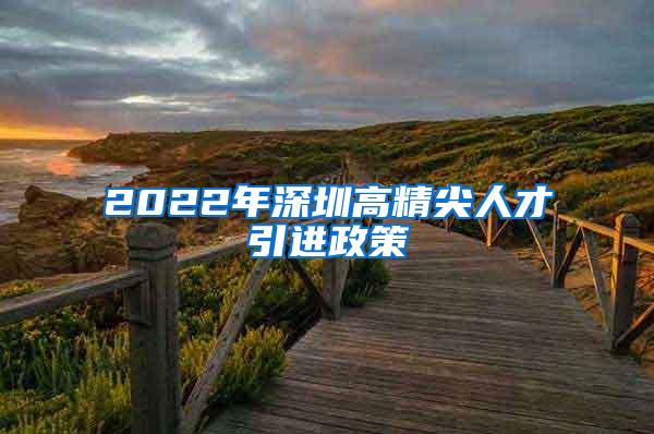 2022年深圳高精尖人才引进政策