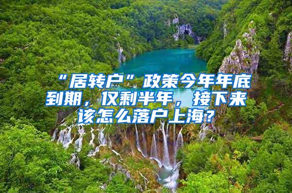 “居转户”政策今年年底到期，仅剩半年，接下来该怎么落户上海？