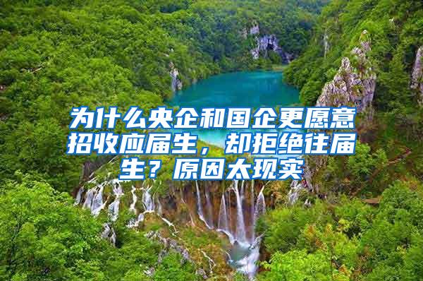 为什么央企和国企更愿意招收应届生，却拒绝往届生？原因太现实