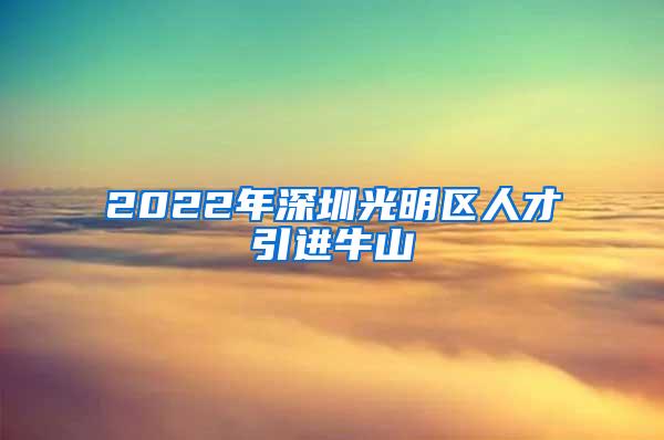 2022年深圳光明区人才引进牛山