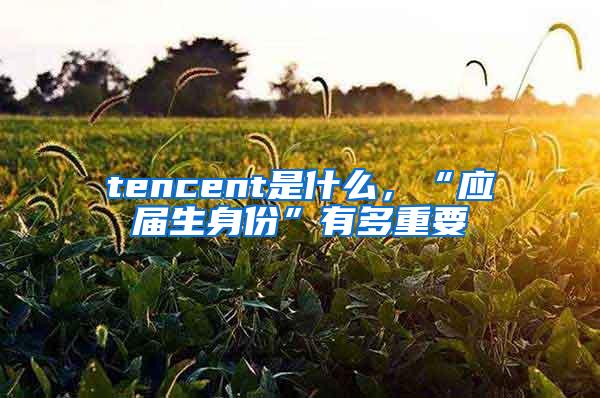 tencent是什么，“应届生身份”有多重要