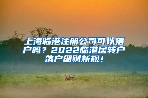 上海临港注册公司可以落户吗？2022临港居转户落户细则新规！