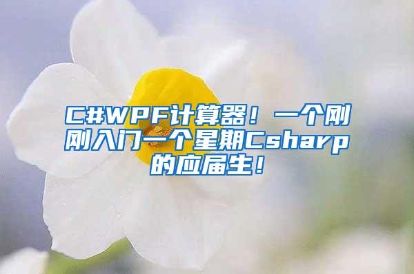 C#WPF计算器！一个刚刚入门一个星期Csharp的应届生！