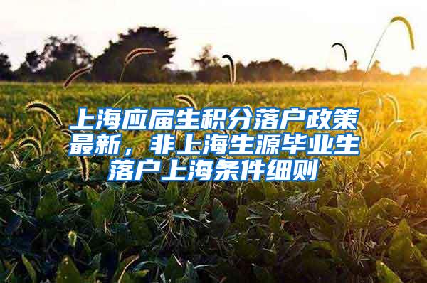 上海应届生积分落户政策最新，非上海生源毕业生落户上海条件细则