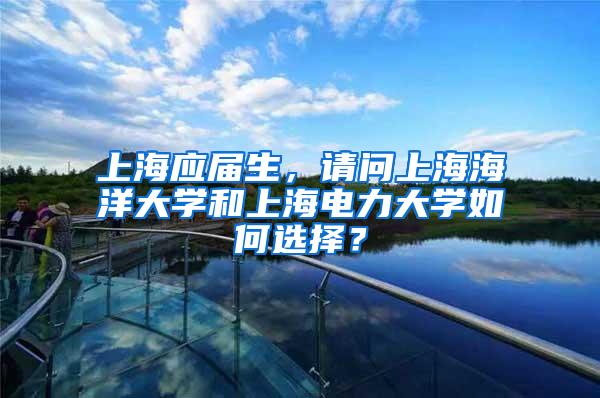 上海应届生，请问上海海洋大学和上海电力大学如何选择？