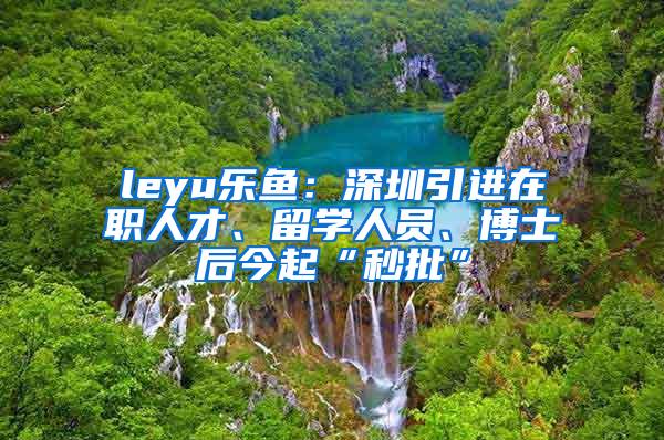 leyu乐鱼：深圳引进在职人才、留学人员、博士后今起“秒批”
