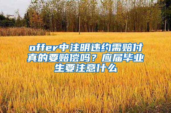 offer中注明违约需赔付真的要赔偿吗？应届毕业生要注意什么